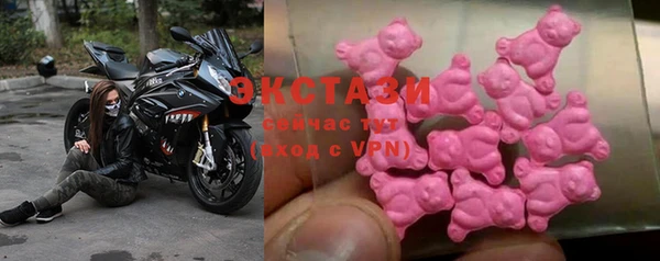 индика Абаза