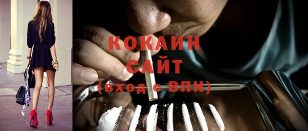 индика Абаза
