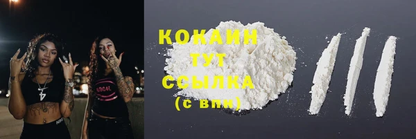 индика Абаза