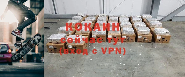 индика Абаза