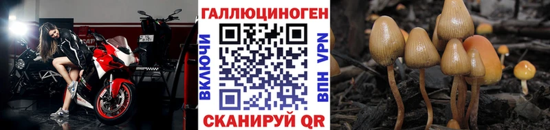 Галлюциногенные грибы Psilocybe  магазин    Краснозаводск 